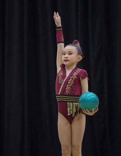 A Burgundy Gold RG Leotard Nat Champs 1
